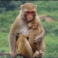 Care