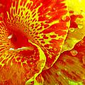 Vibrant